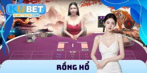 Rồng Hổ
